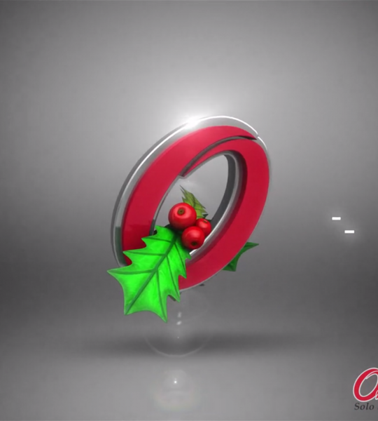 Omnisport – Navidad LG